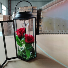 Lade das Bild in den Galerie-Viewer, A1087, Lanterns Hanging Light with Rose Flower   &amp;
